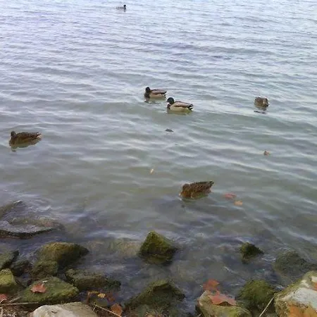 Apartment Crystal Apartement A Balatonfoldvar
